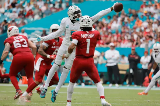 cardinals vs dolphins